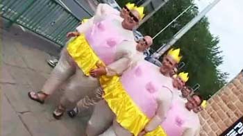 Gladiators and Dalmatians in cricket stand