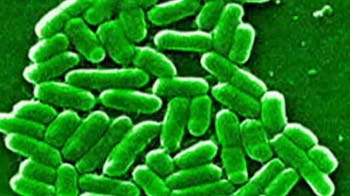 दिल्ली के अस्पताल में सुपरबग मिला