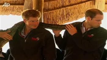 Video : Prince William, Harry, a python and a cheetah