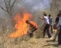 Video : Fire rages for 2nd day at Rajaji National Park