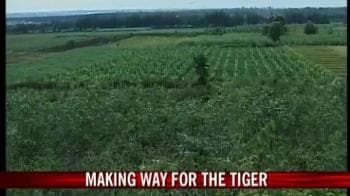 Video : Karnataka emerges a champion in tiger conservation
