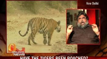 Video : Tiger expert P K Sen on Panna crisis
