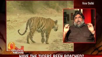Tiger expert P K Sen on Panna crisis
