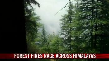 Forest fire rages across Himalaya