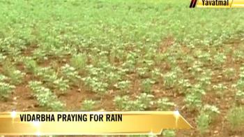 Video : Drought-hit Vidarbha prays for rain
