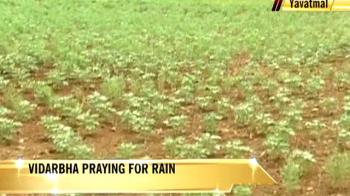 Drought-hit Vidarbha prays for rain