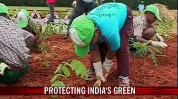 Protecting India's green