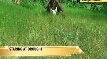 Video : Bihar, staring at drought