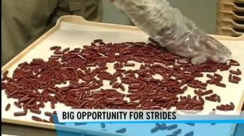 Pfizer, Strides in a 'healthy' alliance