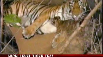 Video : High level tiger team to meet in Chennai