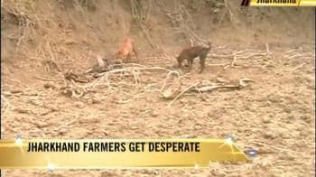 Video : Farmers: "Help Us or Kill Us"