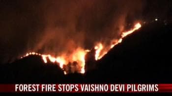 Video : Forest fire stops Vaishno Devi pilgrims
