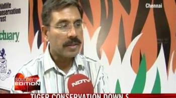 Tiger conservation down South