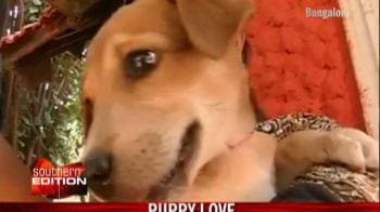 Video : Puppy love in Bangalore