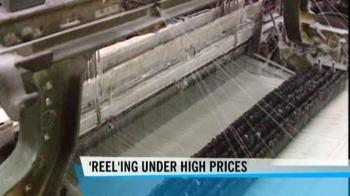 Govt may ban cotton exports