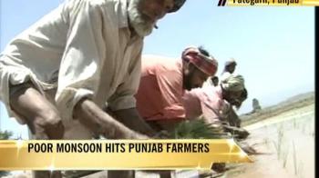 Poor monsoon hits Punjab farmers