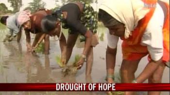 Delayed rains, farmers' nightmare