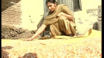 This winter, Makki Ki Roti is out of reach