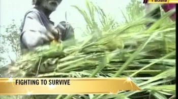 Jai Ram, farmer:  Struggle for survival