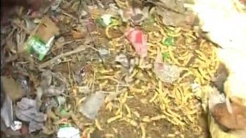 Video : 13 female foetuses found in garbage bin in Ahmedabad