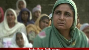 Hunger in the bread basket