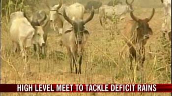 Video : High level meet to tackle deficit rains