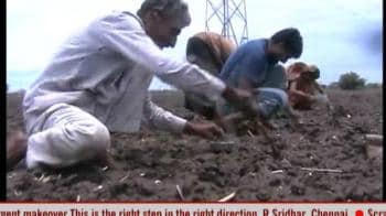 Video : Malwa farmers waiting for rains