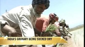 Video : India's granary being sucked dry?