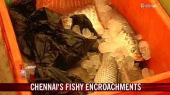 Video : Chennai's fishy encroachments