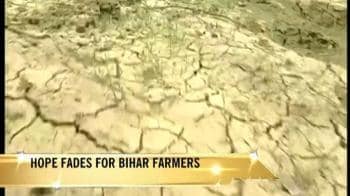 Video : High and dry in Bihar's Amaraha village