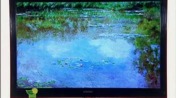 Samsung's LED reviewed