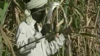 Good harvest, good prices?