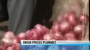Why are onion prices falling?