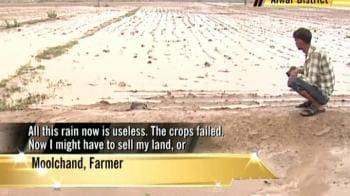 Video : Rajasthan farmers: Failed crop, heavy debt