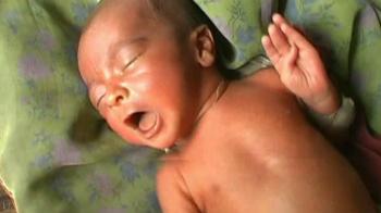 Newborn bears nurses' fury