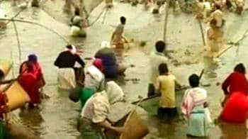 Video : Assam's fish feast