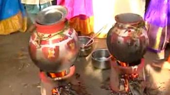 Pongal cheer in Tamil Nadu