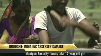 Drought: India Inc assesses damage