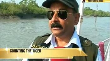 Video : CBI inquiry into tiger deaths?