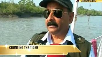CBI inquiry into tiger deaths?