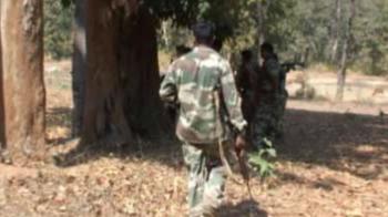 Video : Police movement in Gadchiroli forests
