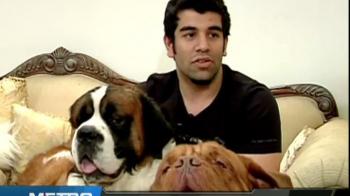 Video : All about dog care