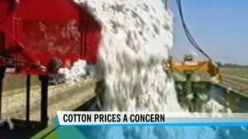 Video : Govt may impose ceiling on cotton exports: Sharma