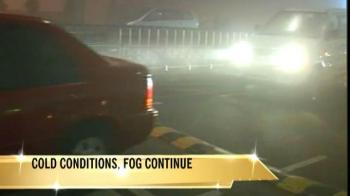 Dense fog envelops Delhi; air, rail traffic disrupted