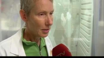 Himalayan glaciers not wasting away