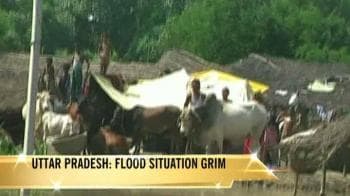 Video : Uttar Pradesh: Flood situation grim