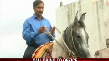 Video : Horse power: Galloping to office