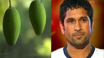 A mango named Sachin