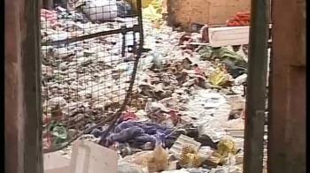 Foetuses taken from garbage, eaten by dogs