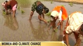 Video : Women and climate change